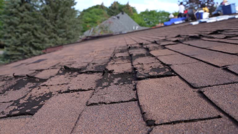 4 Ply Roofing in Matamoras, OH