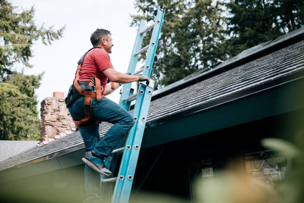 Best Asphalt Shingle Roofing  in Matamoras, OH